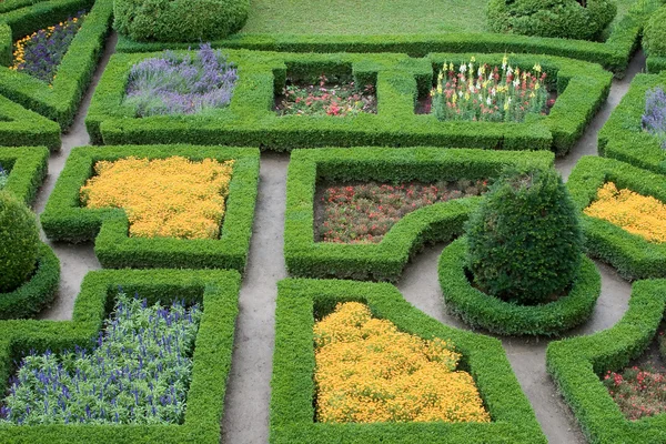 stock image Garden