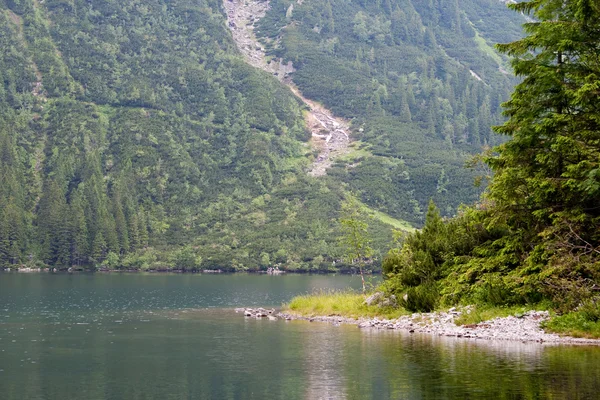 Yaz boyunca deniz göz