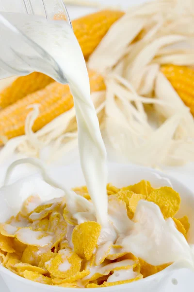 Corn granen met melk — Stockfoto