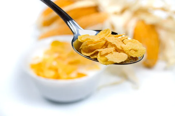 Corn cereal food — Stock Photo, Image