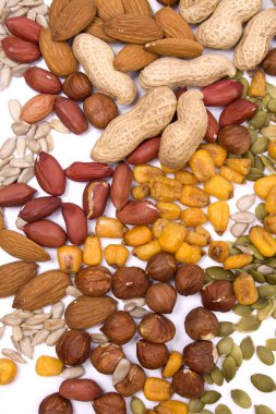 Nuts and seeds clipart