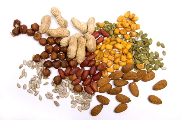 Nüsse und Samen isoliert auf weiß — Stockfoto