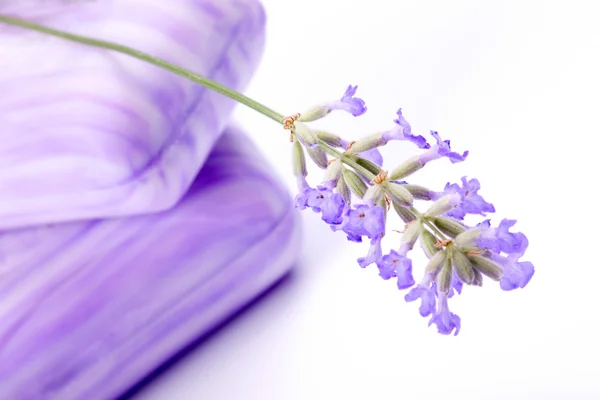 Lavendeltvål — Stockfoto