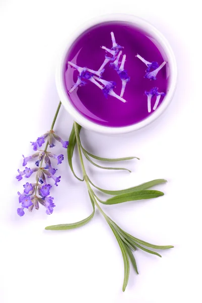 Lavendel extrakt — Stockfoto