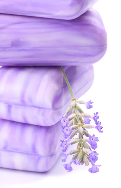 Stack of lavender soap isolated on white — Stock Photo, Image