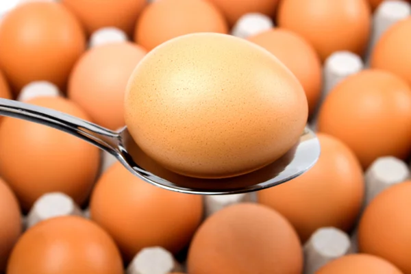 Bir kaşıkla yumurta — Stok fotoğraf