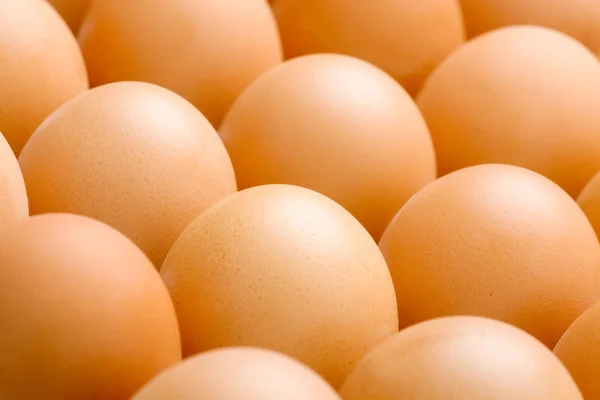 鸡鸡蛋背景 — 图库照片