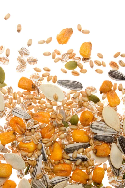 Grãos, sementes e cereais — Fotografia de Stock
