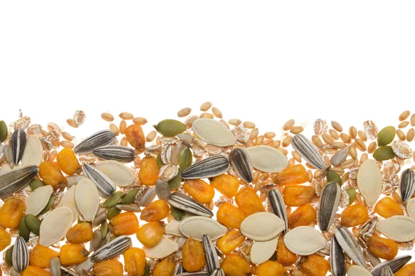 Grãos, sementes e cereais sobre backgrou branco — Fotografia de Stock