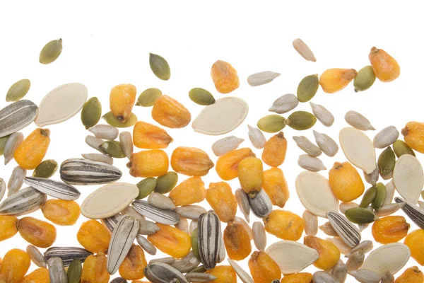 Grain and seeds — Stock Photo, Image