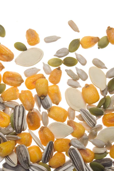 Grãos e sementes isolados sobre branco — Fotografia de Stock
