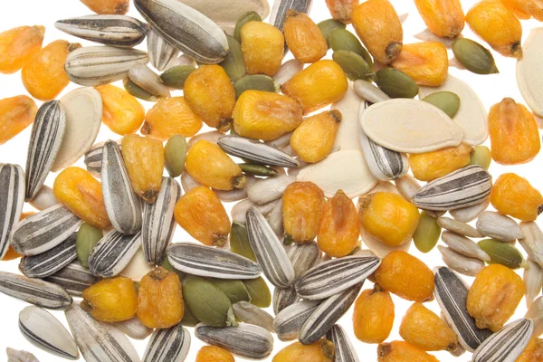 Immagine di sfondo grano e seme — Foto Stock