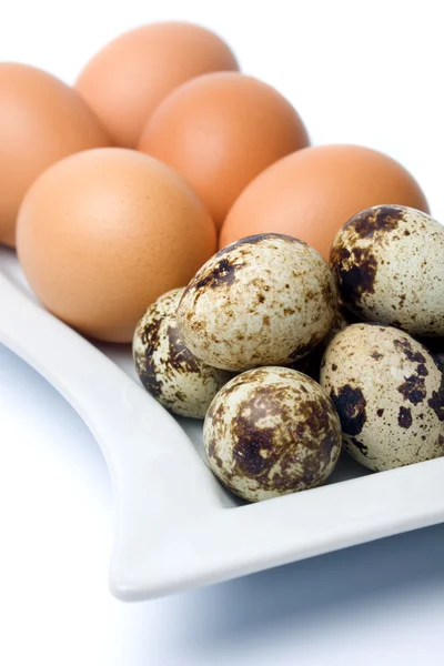 Quail and chicken eggs — Stock Photo, Image