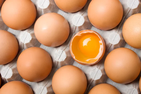 Vaječný žloutek — Stock fotografie