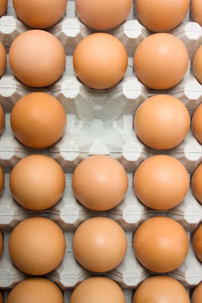 Eksik yumurta — Stok fotoğraf