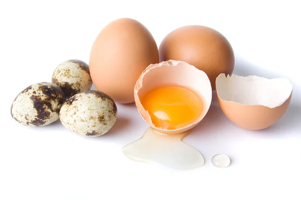 Pollo y huevos de codorniz —  Fotos de Stock
