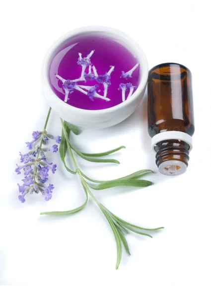 Lavendel bloem en extract — Stockfoto