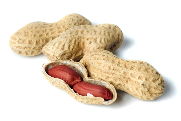 Conchas de cacahuete aisladas en blanco —  Fotos de Stock