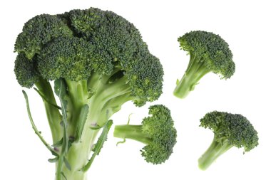 Broccoli over white clipart
