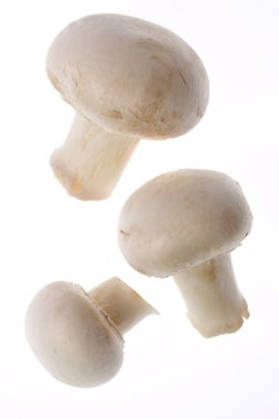 Mushrooms clipart