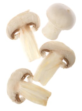 Portabello mushrooms clipart