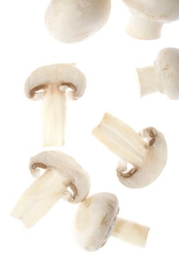 Mushroom slices clipart