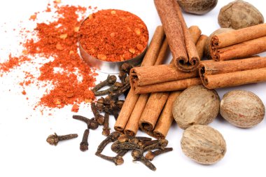 Indian spices clipart
