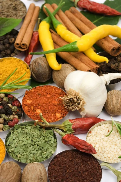 Colors of spices — Stock Photo, Image