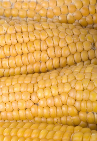 有机种植的玉米纹理 — 图库照片