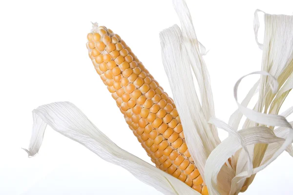 Corn knob isolated on white — Stock Photo, Image