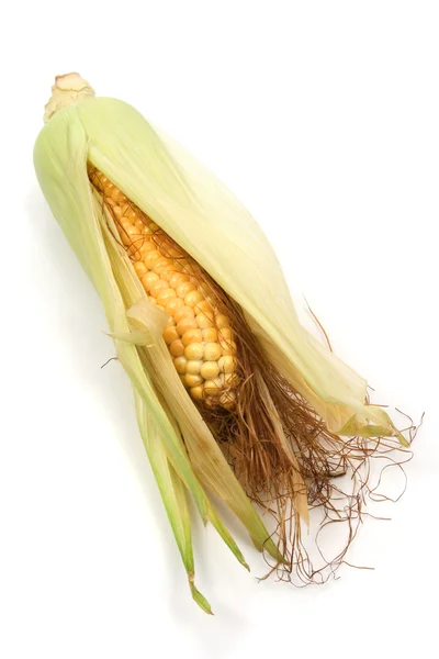 Corn knob — Stock Photo, Image