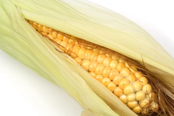 Corn ear — Stock Photo, Image