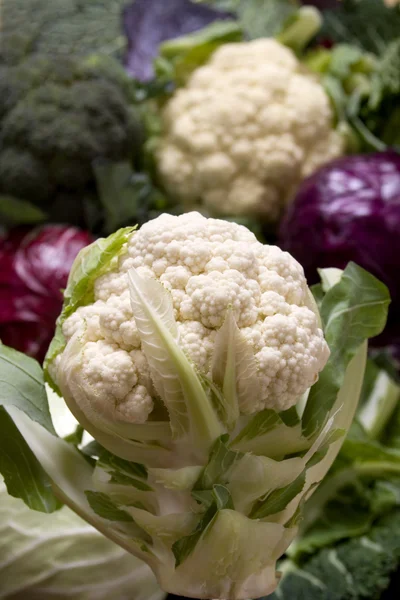 Cauliflower and other cabbages — Stock Photo, Image