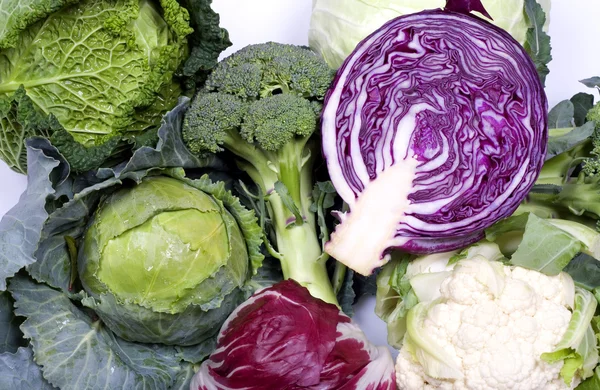 Cabbage assortment — Stock Photo, Image