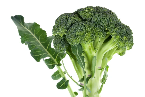 Brokoli — Stok fotoğraf