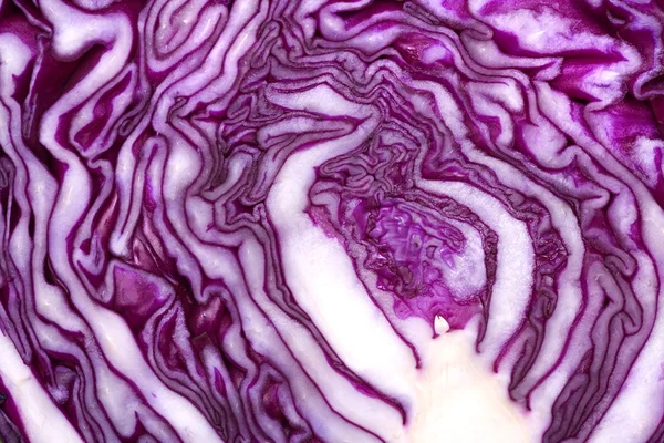Pink cabbage abstract — Stock Photo, Image