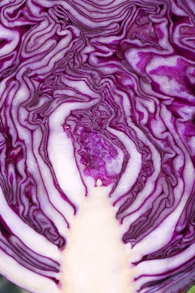 红菜 — 图库照片