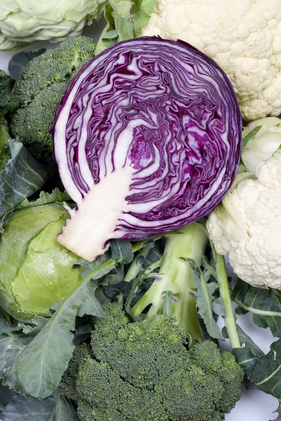 Pink cabbage — Stock Photo, Image