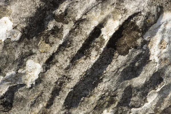 Tekstur batu — Stok Foto