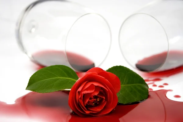 Червона камелія і вино — стокове фото