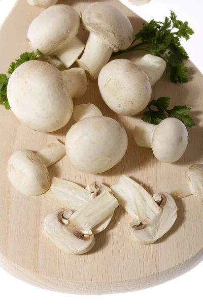 Edible mushrooms — Stock Photo, Image