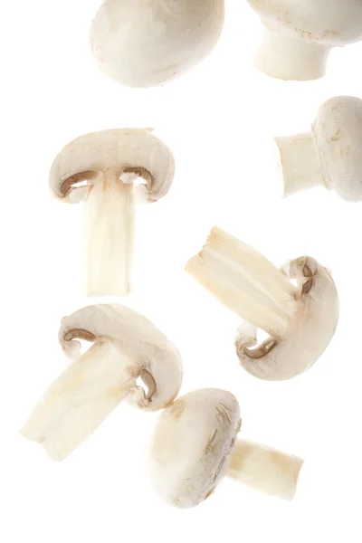 Fatias de cogumelos — Fotografia de Stock