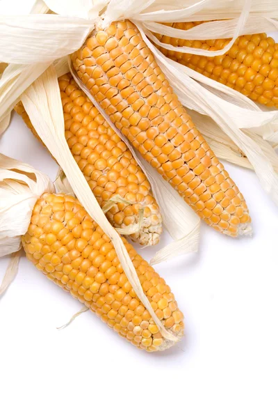 Сушеная кукуруза — стоковое фото