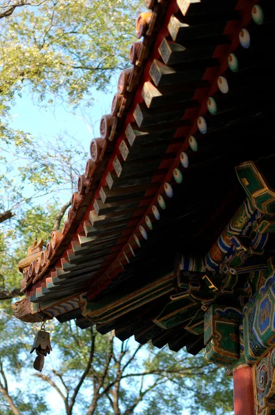 Çin stili çatı — Stok fotoğraf