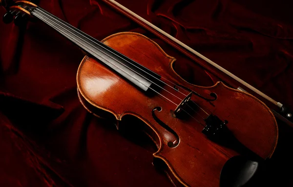 Violina — Foto Stock