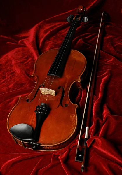 Скрипаль — стоковое фото
