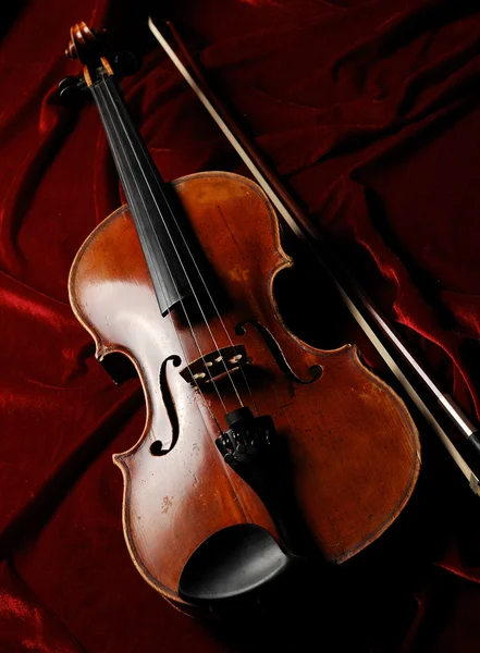 Violine — Stok fotoğraf