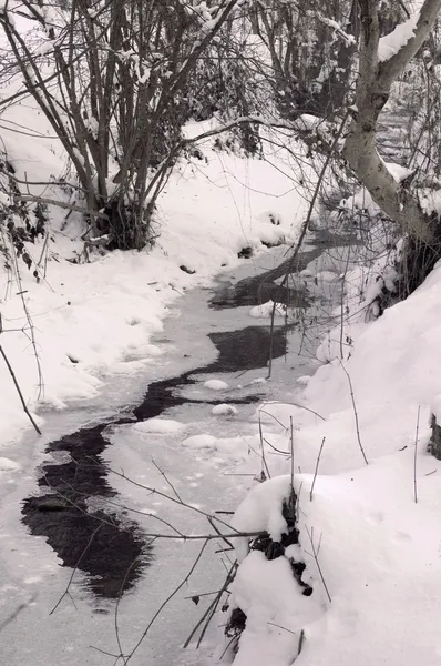 Flusso congelato — Foto Stock