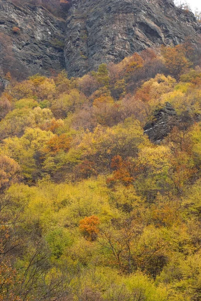 stock image Autumn mountain