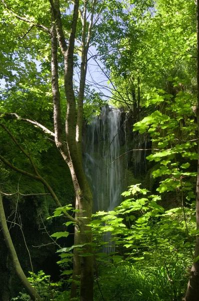 Stock image Water fall